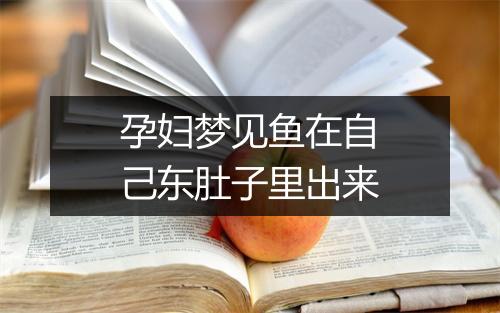 孕妇梦见鱼在自己东肚子里出来