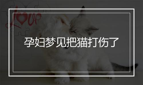 孕妇梦见把猫打伤了