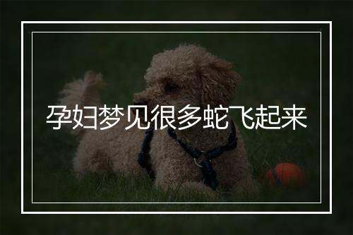 孕妇梦见很多蛇飞起来