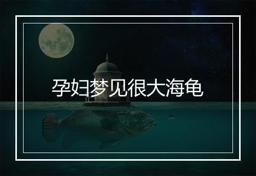 孕妇梦见很大海龟