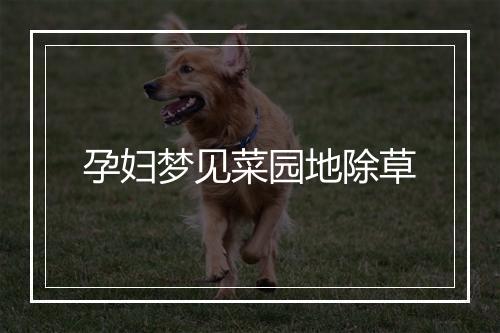 孕妇梦见菜园地除草