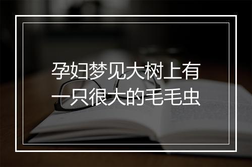 孕妇梦见大树上有一只很大的毛毛虫