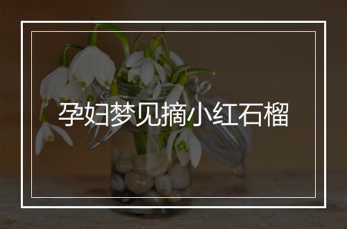 孕妇梦见摘小红石榴