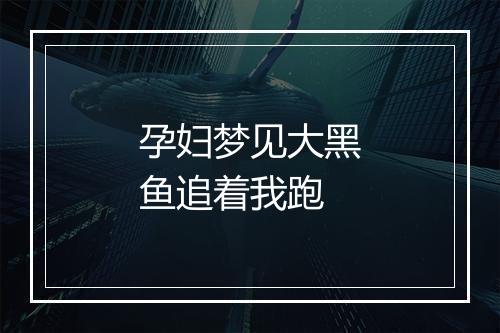 孕妇梦见大黑鱼追着我跑