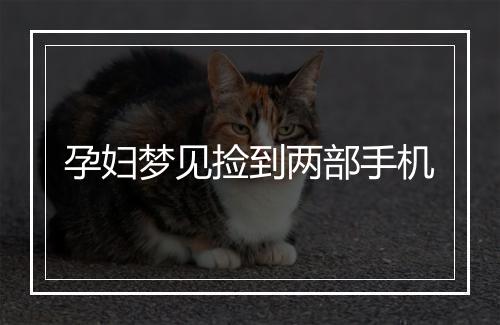 孕妇梦见捡到两部手机