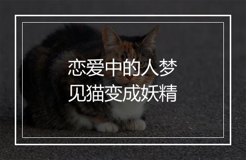 恋爱中的人梦见猫变成妖精