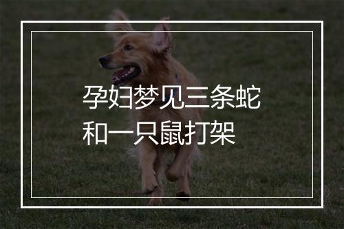 孕妇梦见三条蛇和一只鼠打架