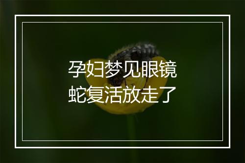 孕妇梦见眼镜蛇复活放走了