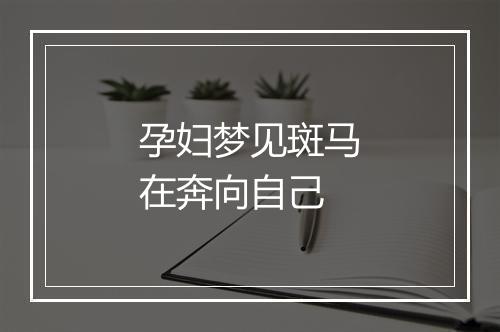 孕妇梦见斑马在奔向自己