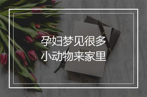 孕妇梦见很多小动物来家里