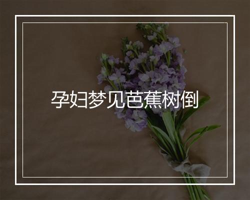 孕妇梦见芭蕉树倒