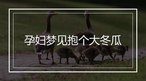 孕妇梦见抱个大冬瓜