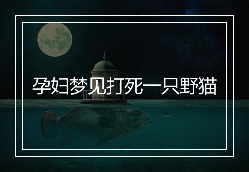 孕妇梦见打死一只野猫