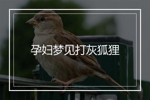 孕妇梦见打灰狐狸