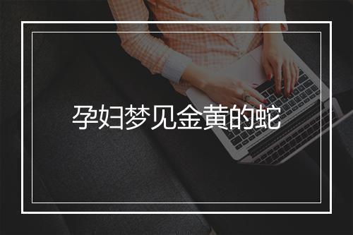 孕妇梦见金黄的蛇