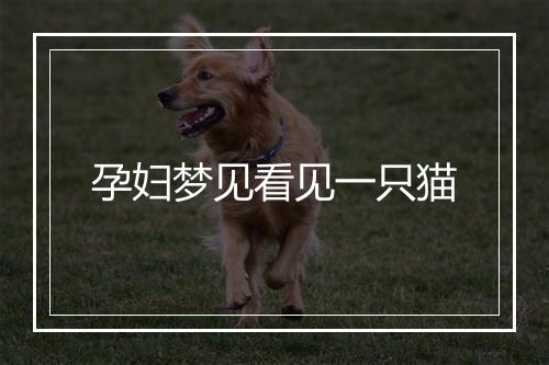 孕妇梦见看见一只猫