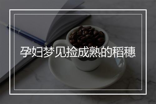 孕妇梦见捡成熟的稻穗