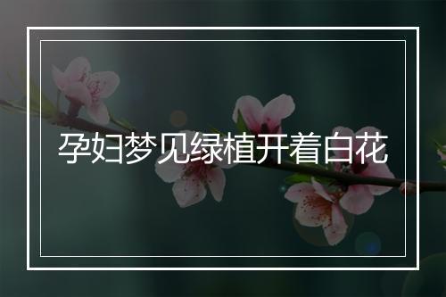 孕妇梦见绿植开着白花