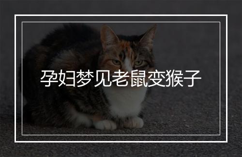 孕妇梦见老鼠变猴子