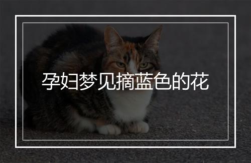 孕妇梦见摘蓝色的花