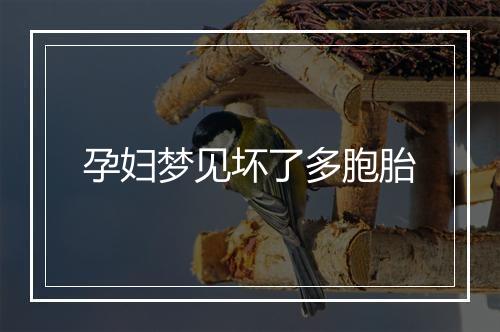 孕妇梦见坏了多胞胎