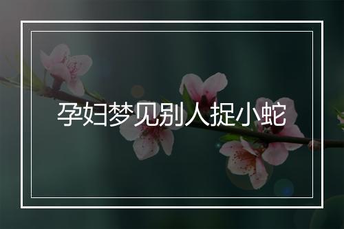 孕妇梦见别人捉小蛇