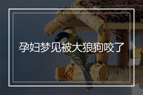 孕妇梦见被大狼狗咬了