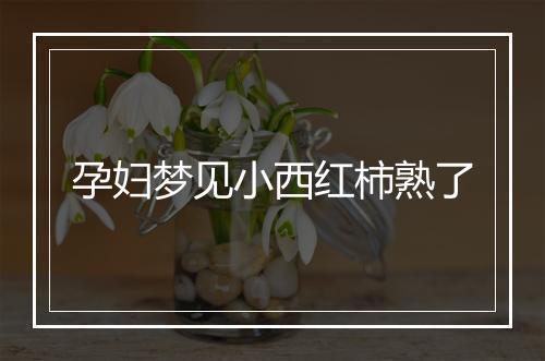 孕妇梦见小西红柿熟了