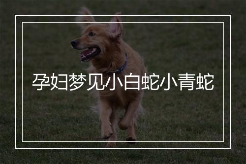 孕妇梦见小白蛇小青蛇