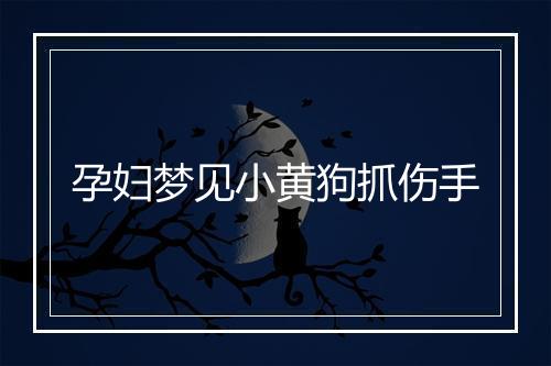 孕妇梦见小黄狗抓伤手