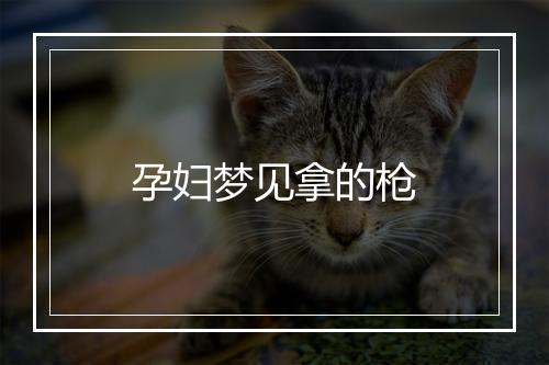 孕妇梦见拿的枪