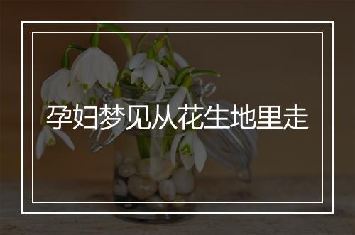 孕妇梦见从花生地里走