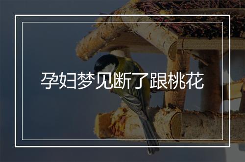 孕妇梦见断了跟桃花