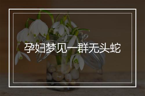 孕妇梦见一群无头蛇