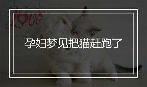 孕妇梦见把猫赶跑了