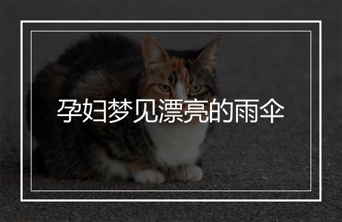 孕妇梦见漂亮的雨伞