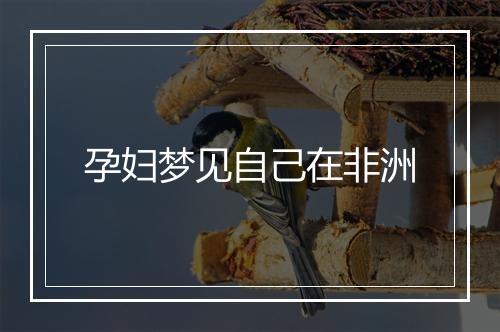 孕妇梦见自己在非洲