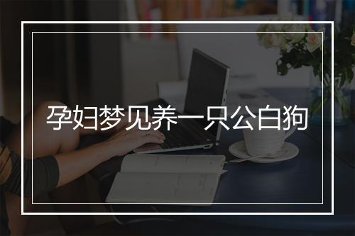 孕妇梦见养一只公白狗