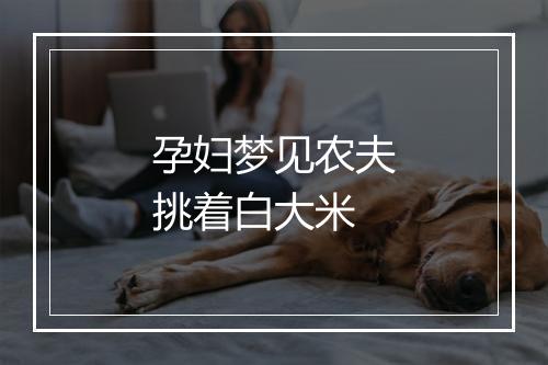 孕妇梦见农夫挑着白大米