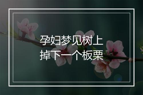 孕妇梦见树上掉下一个板栗