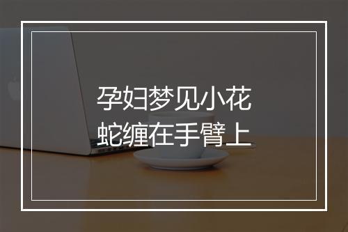 孕妇梦见小花蛇缠在手臂上