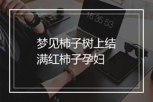 梦见柿子树上结满红柿子孕妇