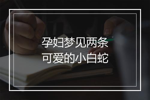 孕妇梦见两条可爱的小白蛇