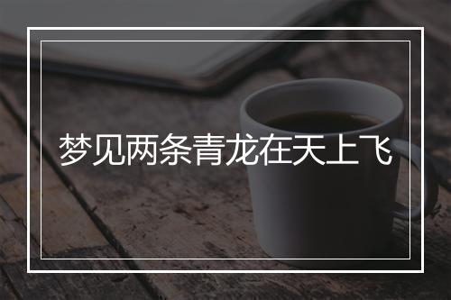 梦见两条青龙在天上飞