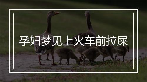 孕妇梦见上火车前拉屎