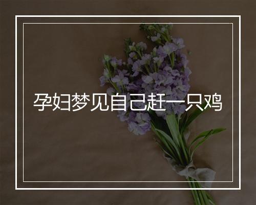 孕妇梦见自己赶一只鸡