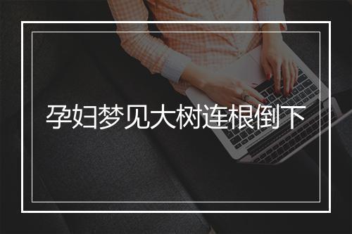 孕妇梦见大树连根倒下