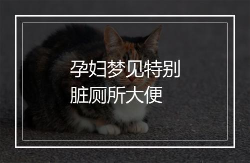 孕妇梦见特别脏厕所大便