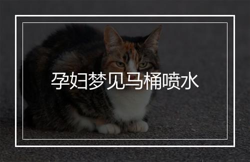 孕妇梦见马桶喷水