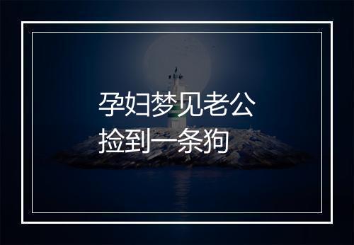 孕妇梦见老公捡到一条狗